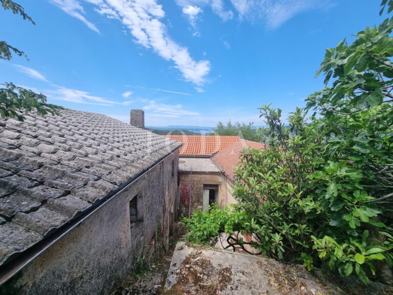 Grižane