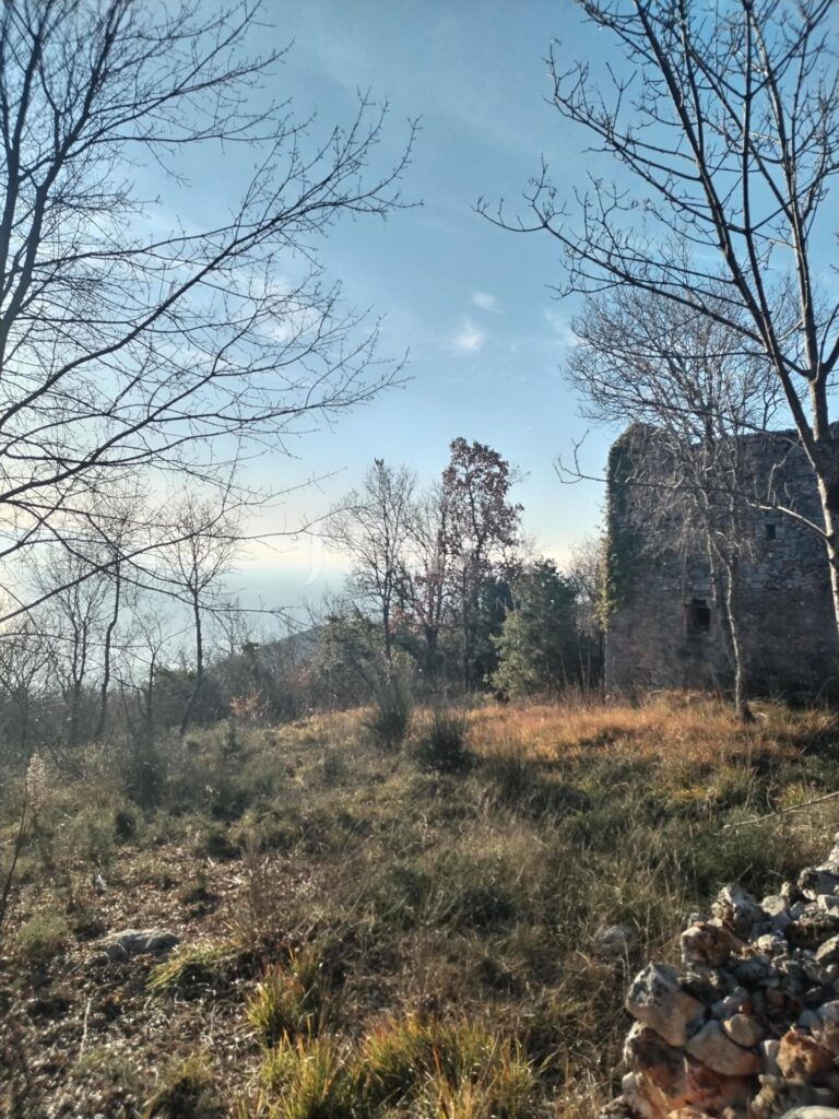 okolica