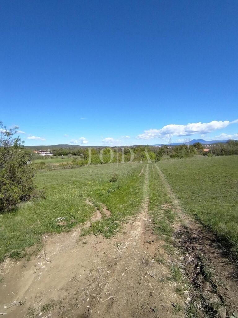 okolica