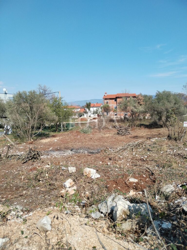 okolica