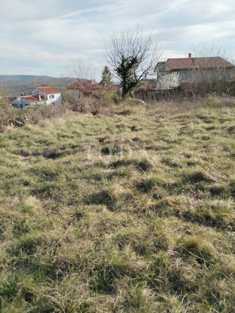 okolica