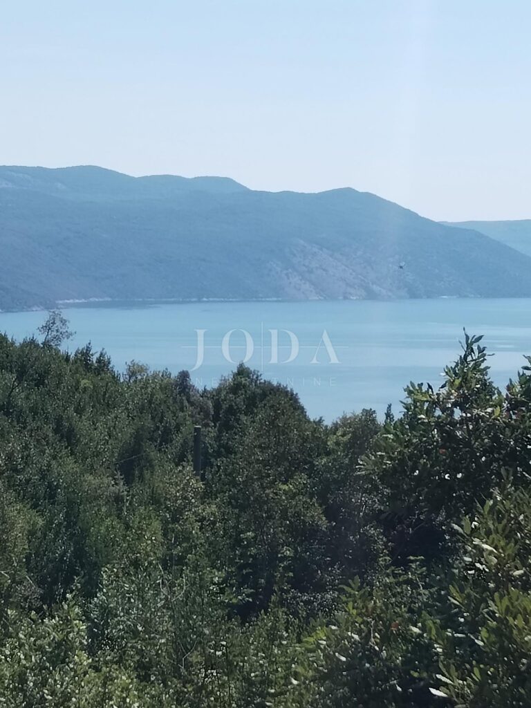 Plomin