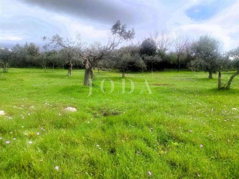 Atraktivno građ.zemljište s idejnim projektom