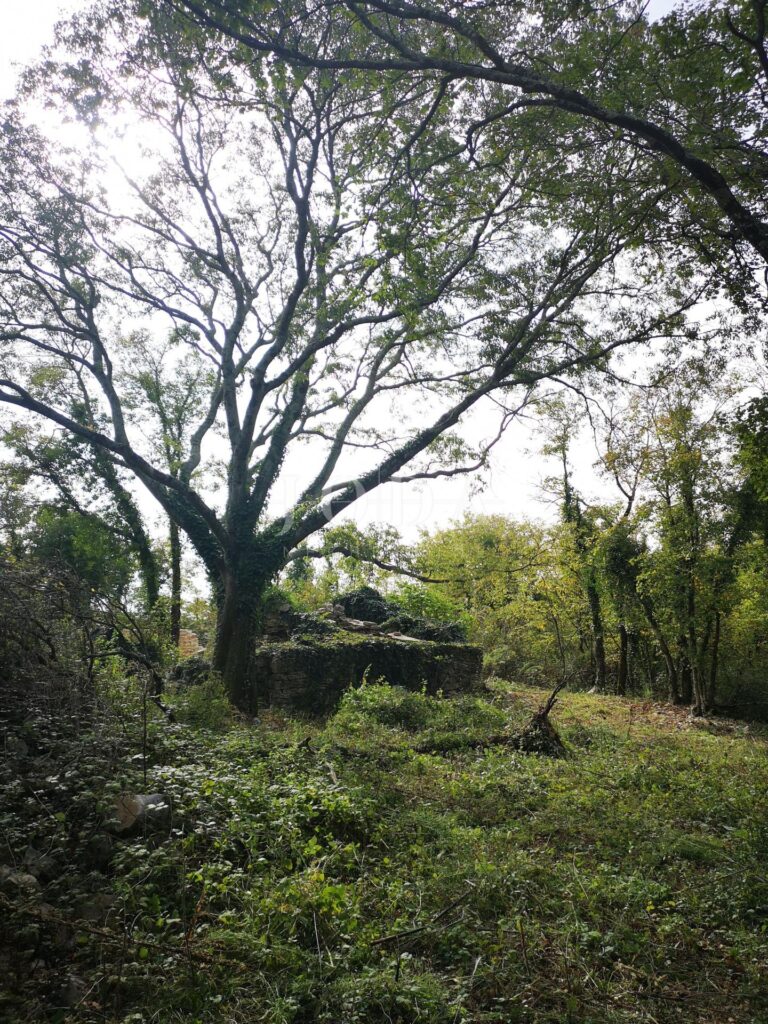 Grožnjan okolica | Adriatic Real