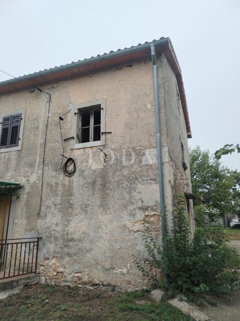 okolica