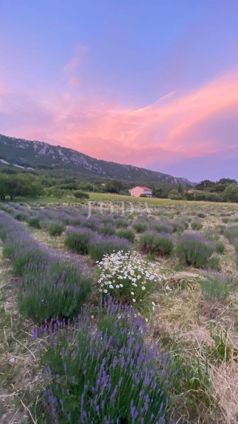 Građevinsko zemljište 1.250 m² s dozvolom i temeljima – Bribir