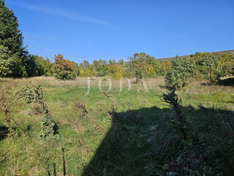 Veliko građ.zemljište sa tradicionalnom istarskom kućom